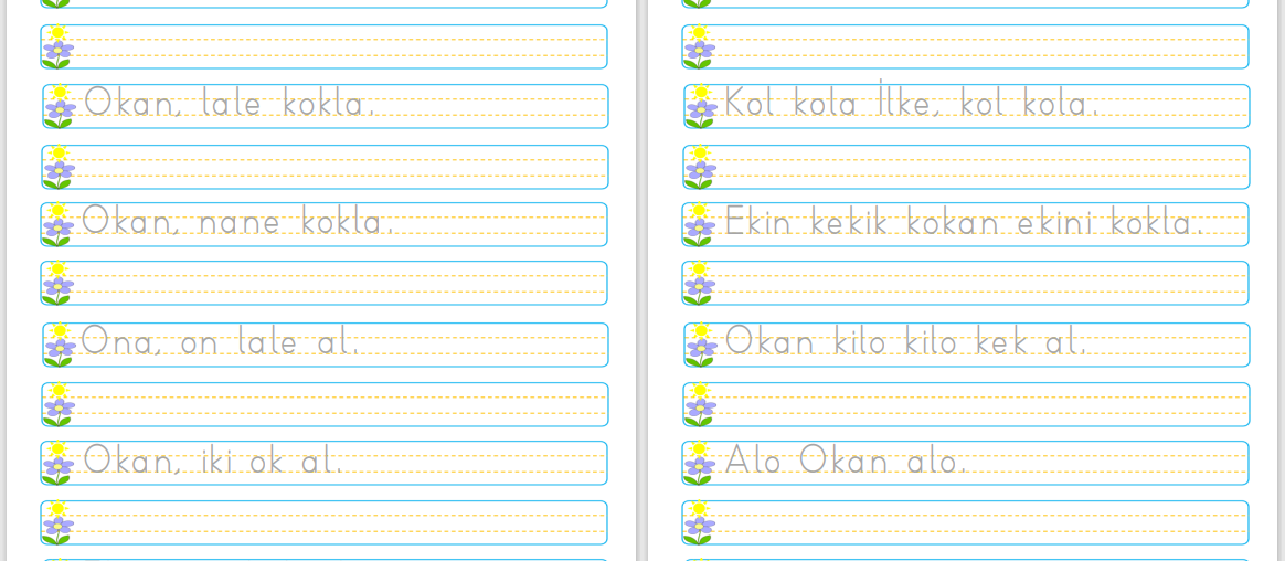 O Sesi Cümle Okuma ve Yazma Etkinliği